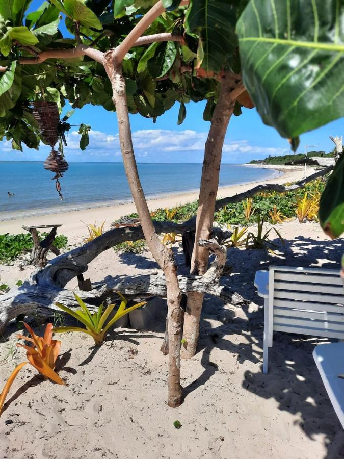Ondas Porto Seguro